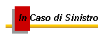 In Caso di Sinistro